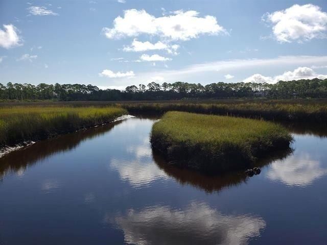 35 Tide Creek Landing Drive, Ochlockonee Bay, FL 32346 Photo