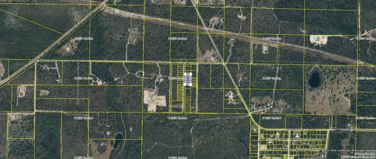 Xxxx NW Center Lake Road, Altha, FL 32421 Photo