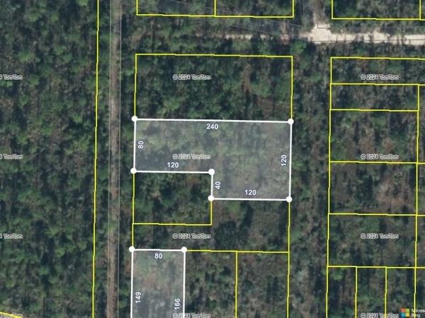 xxx NW Cr 274 / Compass Lake Avenue, Altha, FL 32438