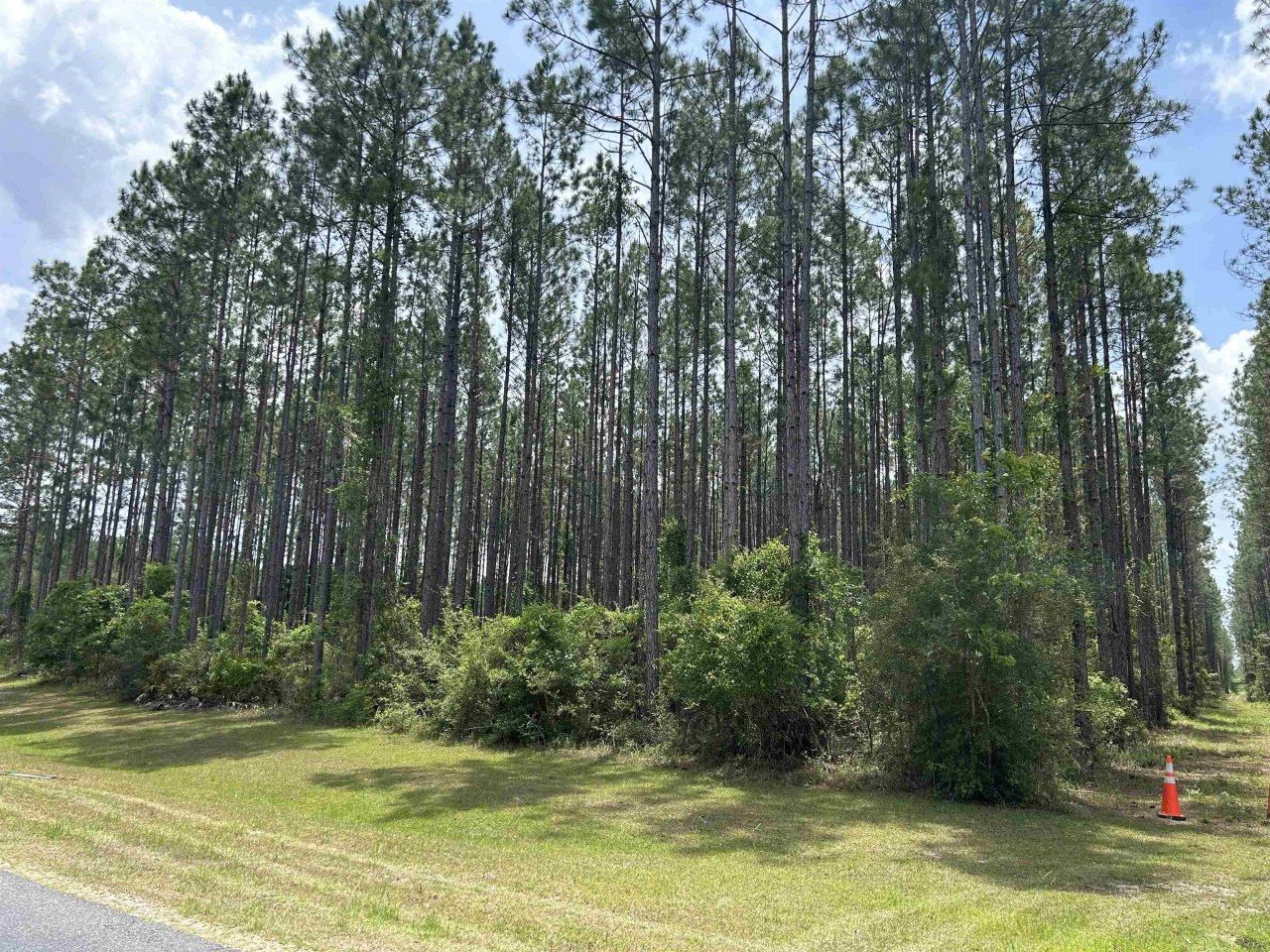 0 Ranch Club Road, Tallahassee, FL 32305 Main Photo