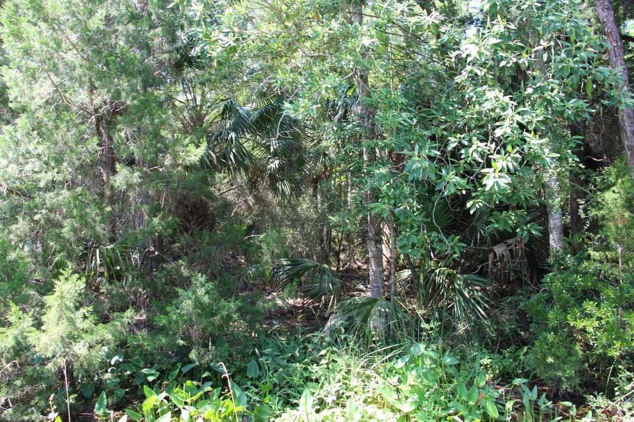 Lot 1 Block A Hobbs Way, Saint Marks, FL 32355 Photo