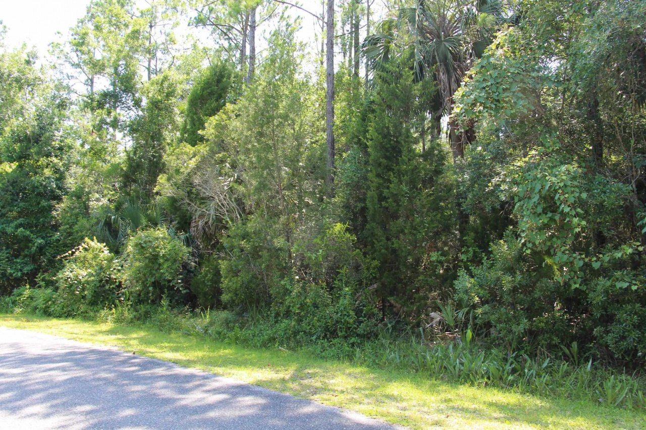 Lot 1 Block A Hobbs Way, Saint Marks, FL 32355 Photo
