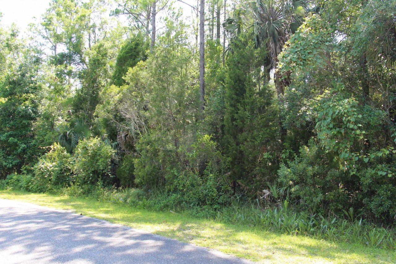 Lot 1 Block A Hobbs Way, Saint Marks, FL 32355 Photo