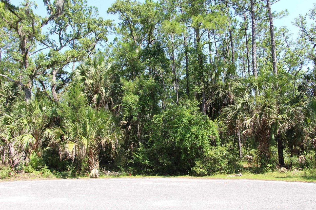 Lot 9 Block A Hobbs Way, Saint Marks, FL 32355 Photo