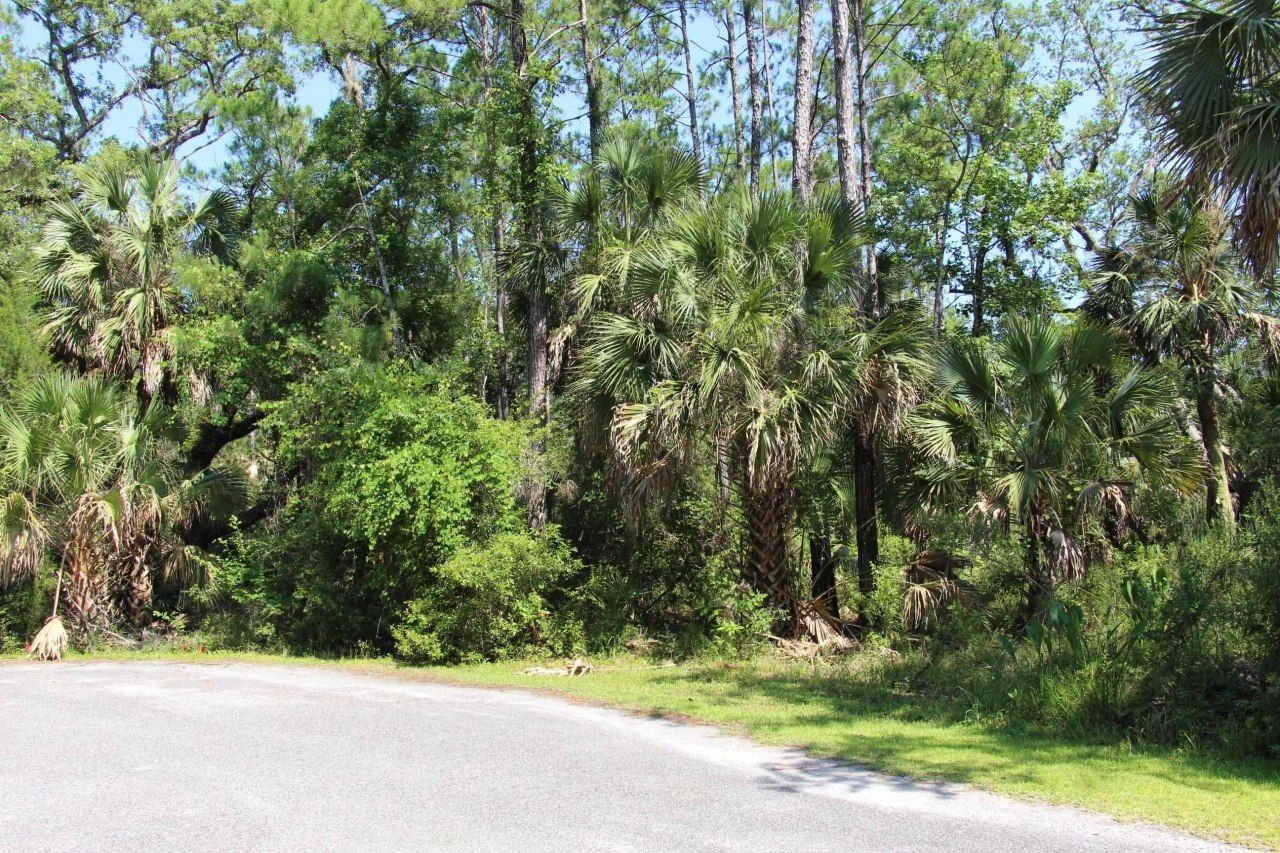 Lot 9 Block A Hobbs Way, Saint Marks, FL 32355 Photo
