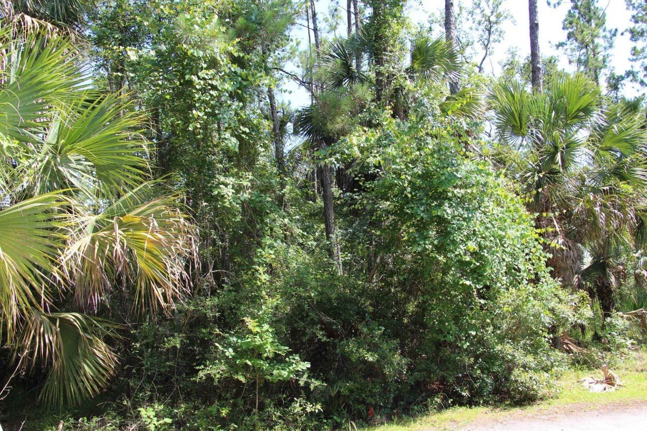 Lot 9 Block A Hobbs Way, Saint Marks, FL 32355 Photo