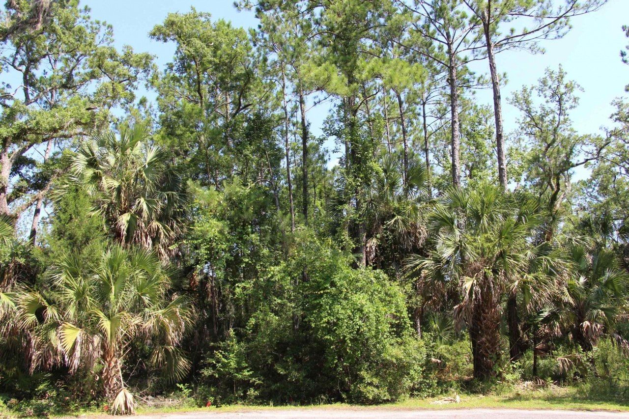 Lot 9 Block A Hobbs Way, Saint Marks, FL 32355 Photo