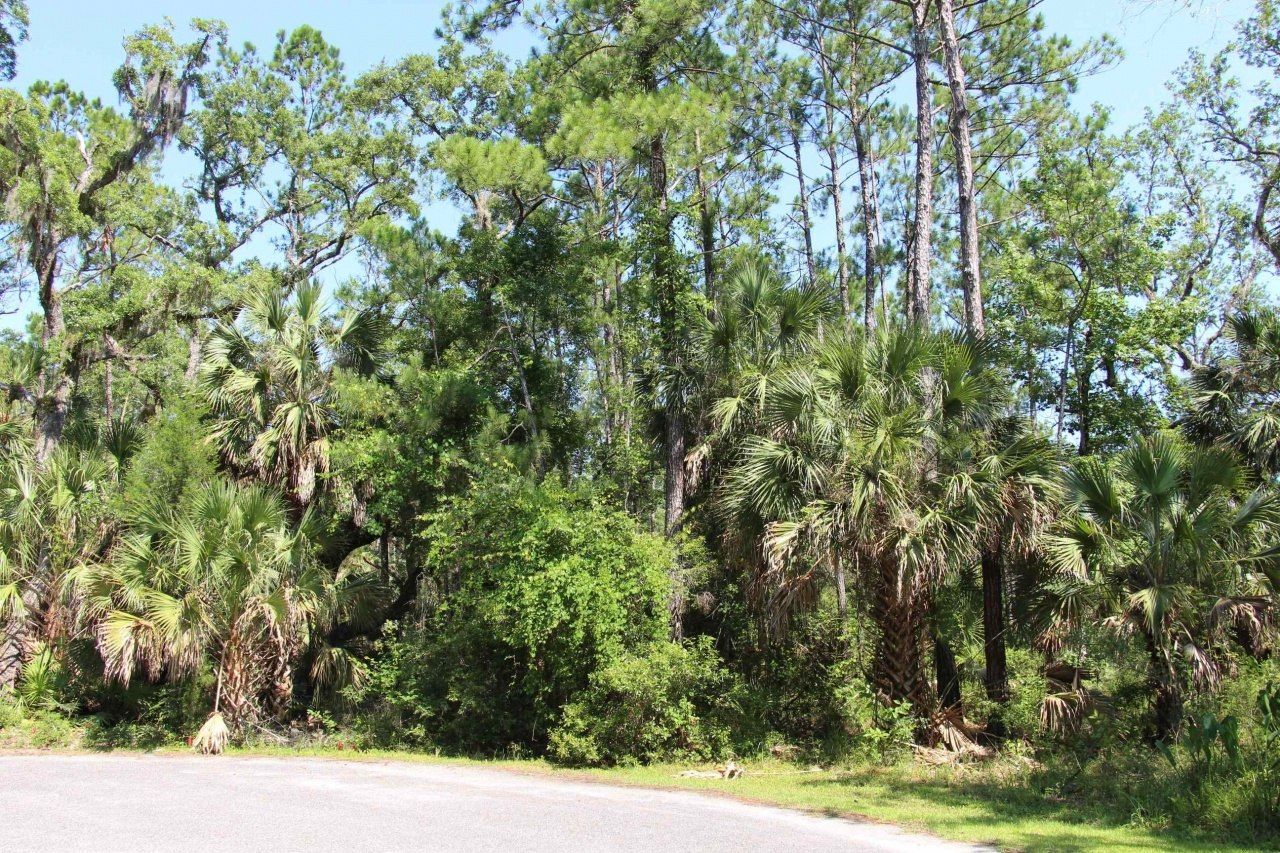 Lot 9 Block A Hobbs Way, Saint Marks, FL 32355 Photo