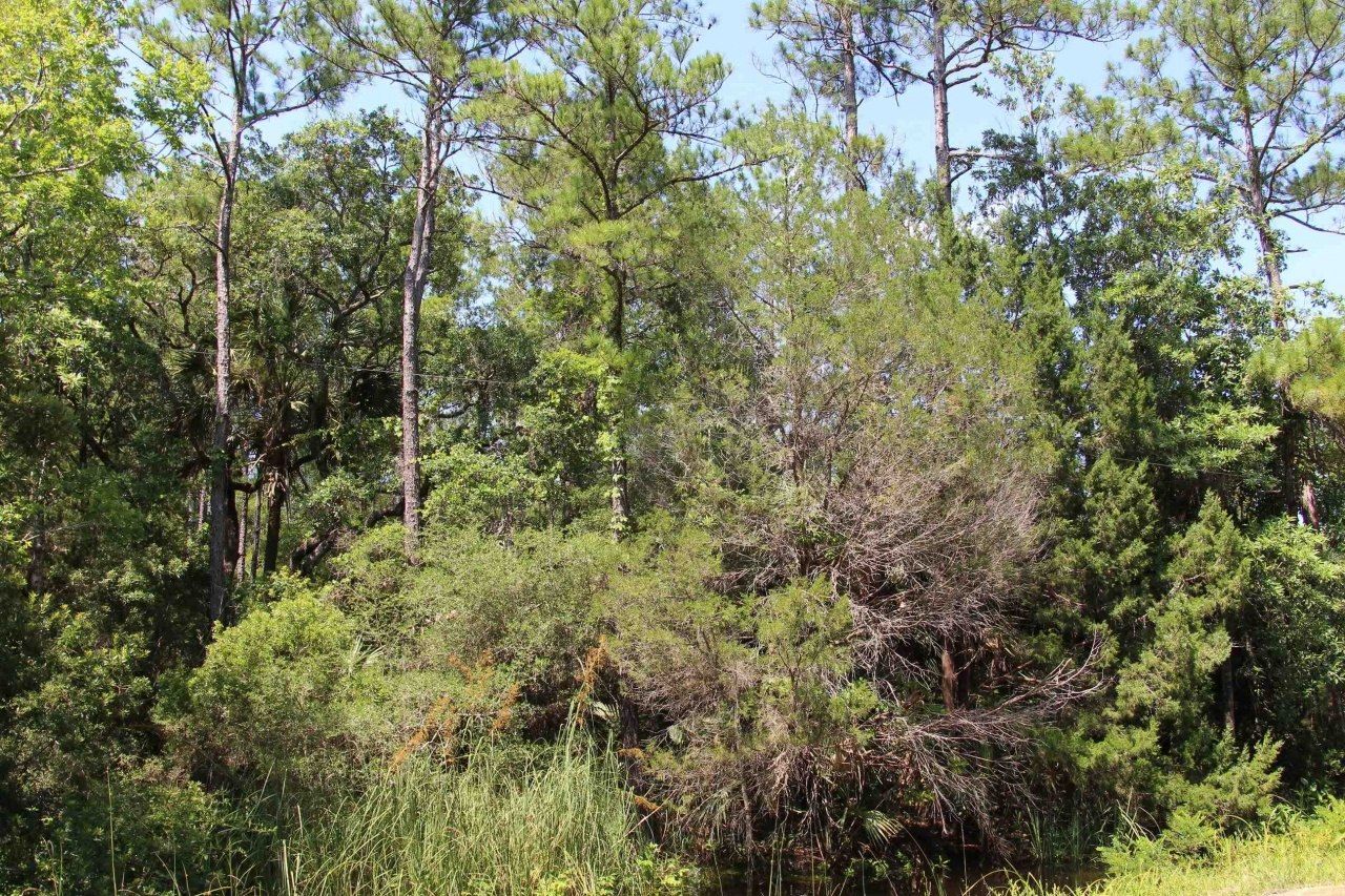 Lot 9 Block A Hobbs Way, Saint Marks, FL 32355 Photo