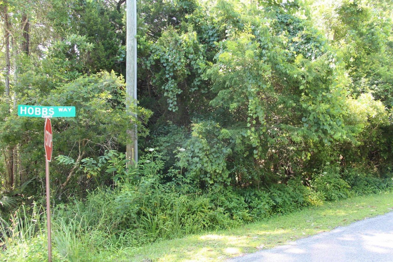 Lot 9 Block A Hobbs Way, Saint Marks, FL 32355 Photo