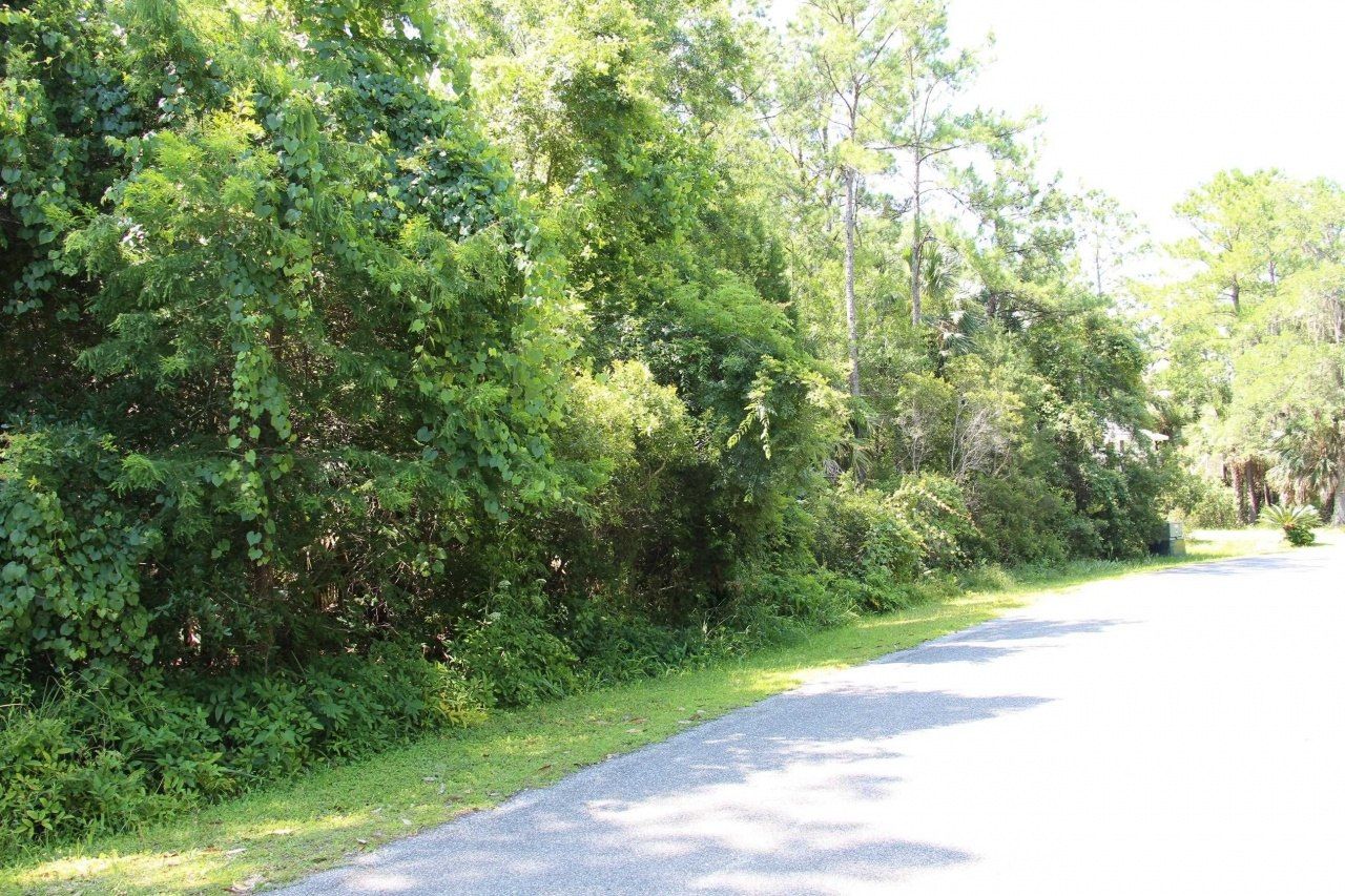 Lot 9 Block A Hobbs Way, Saint Marks, FL 32355 Photo