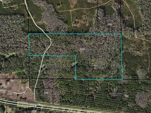 Fallow Road, Lamont, FL 32336