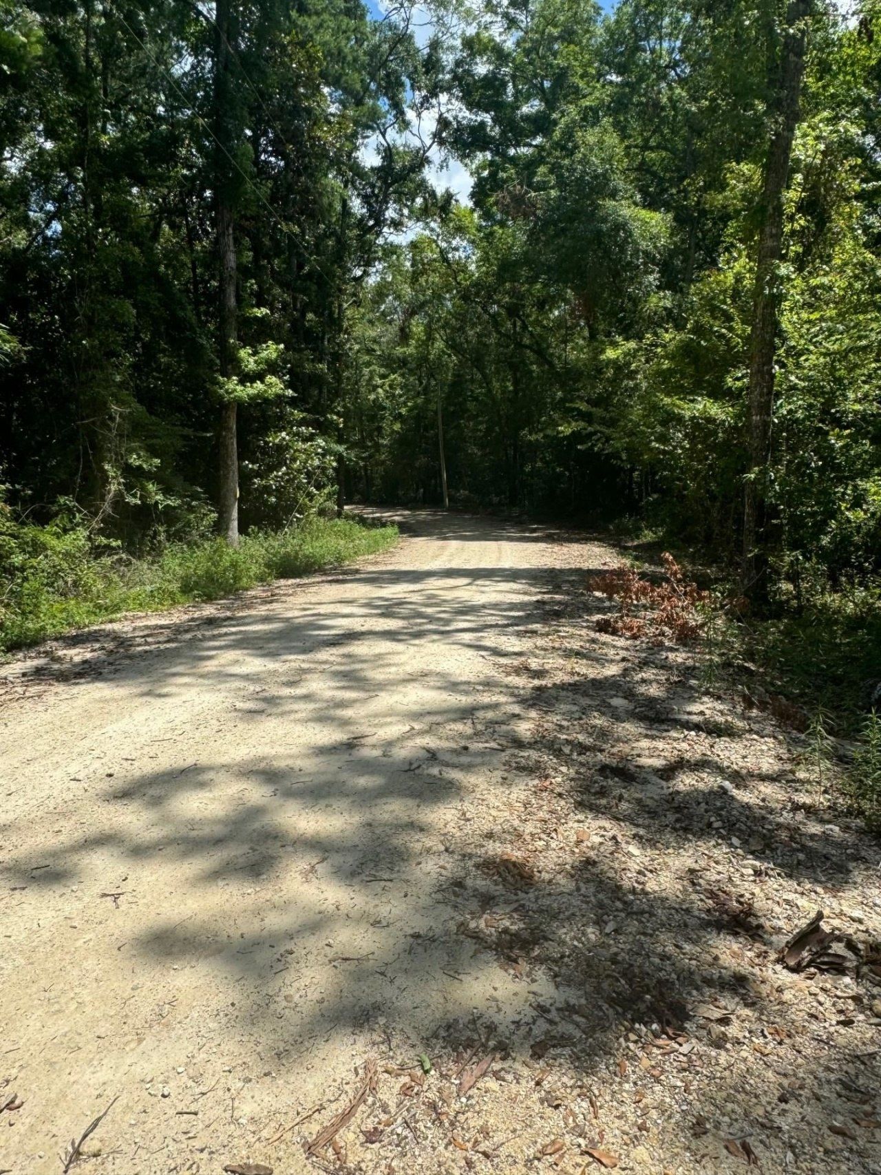 Fallow Road, Lamont, FL 32336 Photo