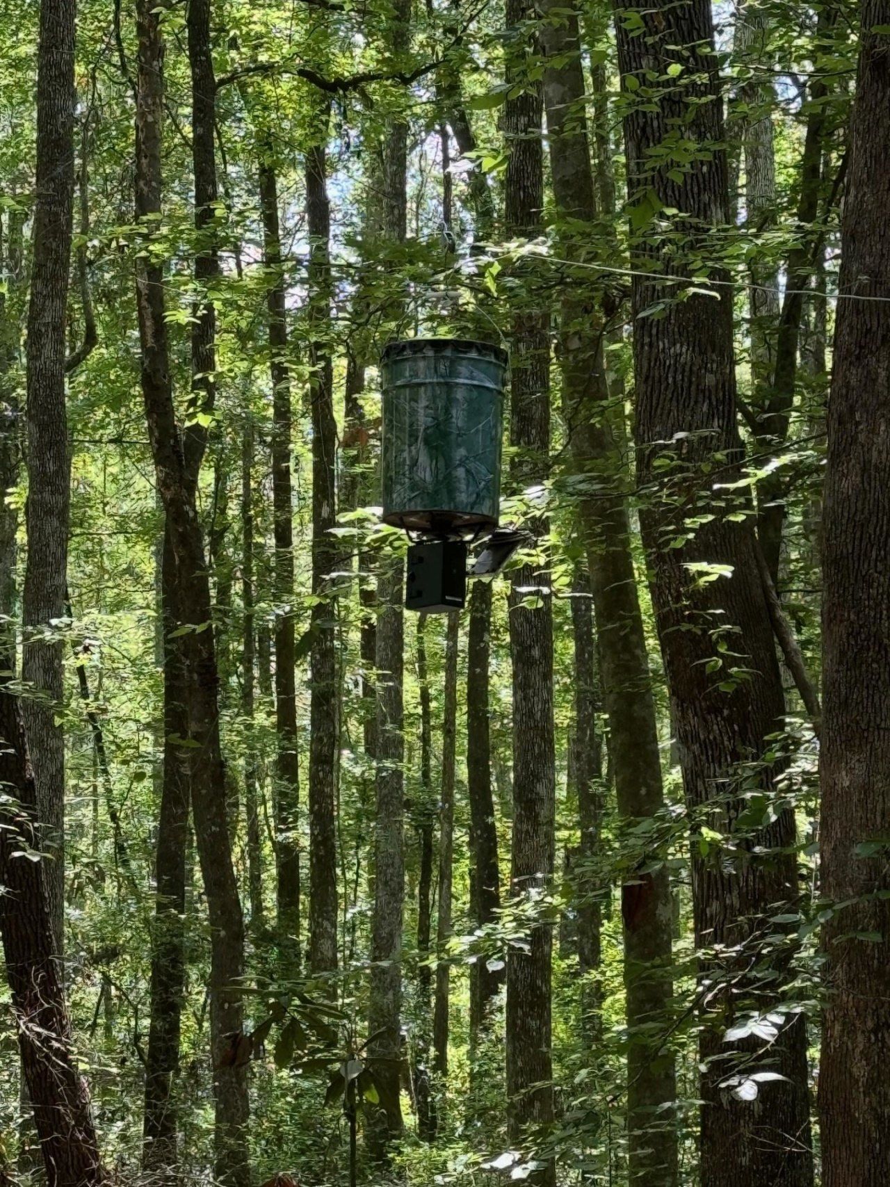 Fallow Road, Lamont, FL 32336 Photo