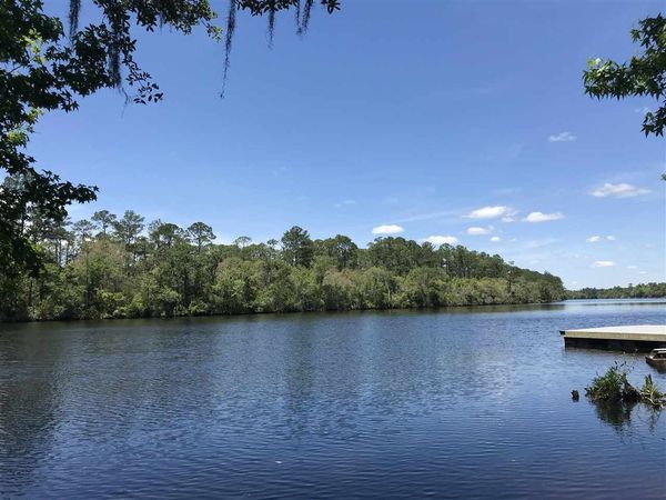 xx Big Fish Drive, Sopchoppy, FL 32358