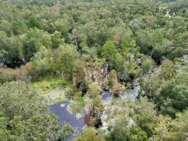 2 TBD, Mayo, FL 32066