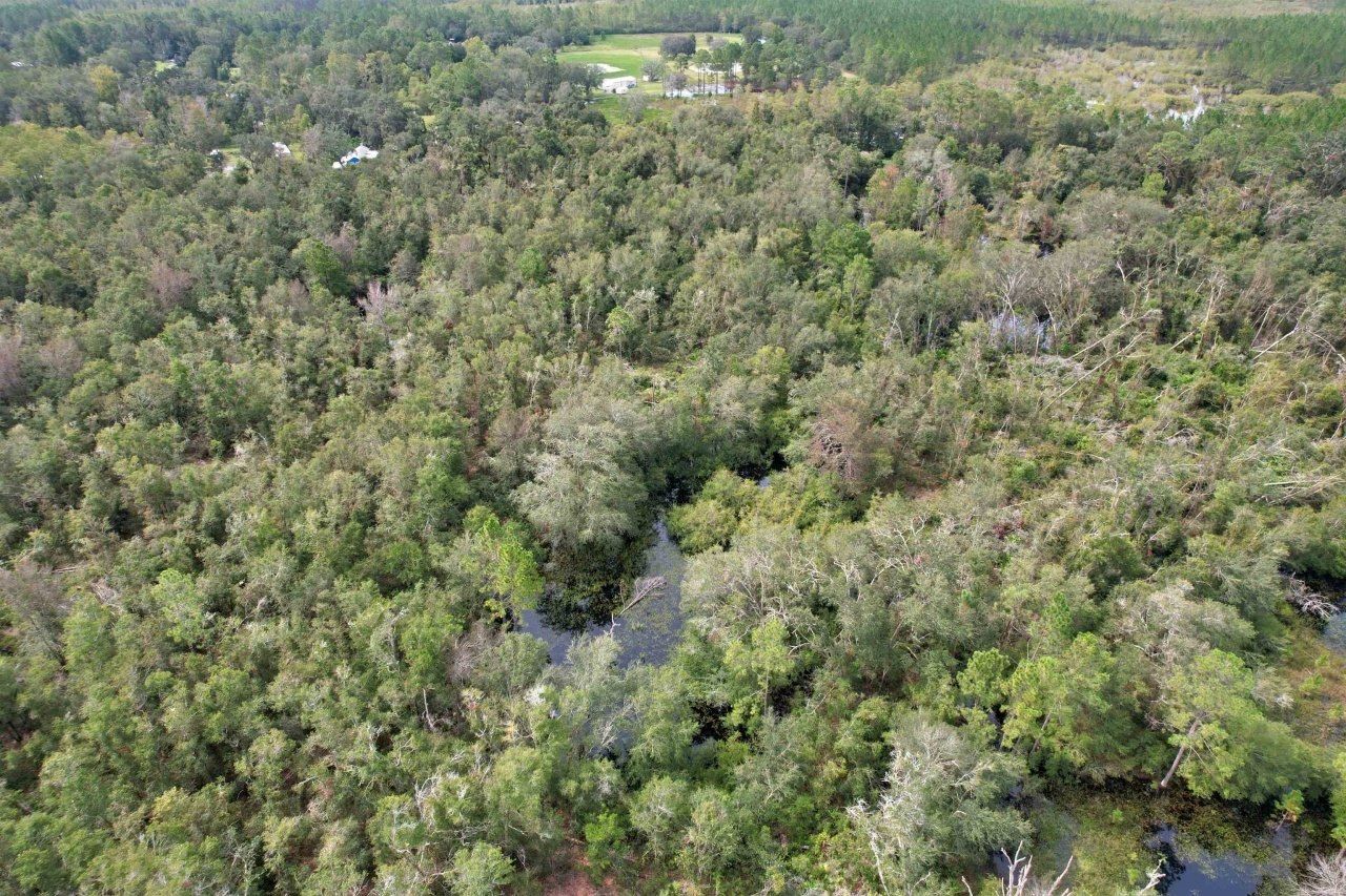 2 Tbd, Mayo, FL 32066 Photo