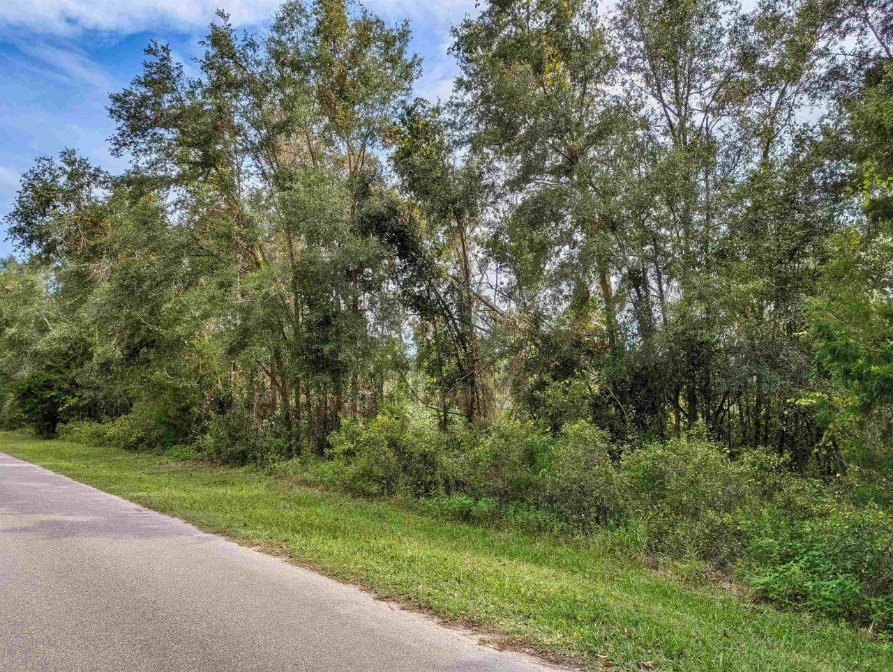 2 Tbd, Mayo, FL 32066 Photo