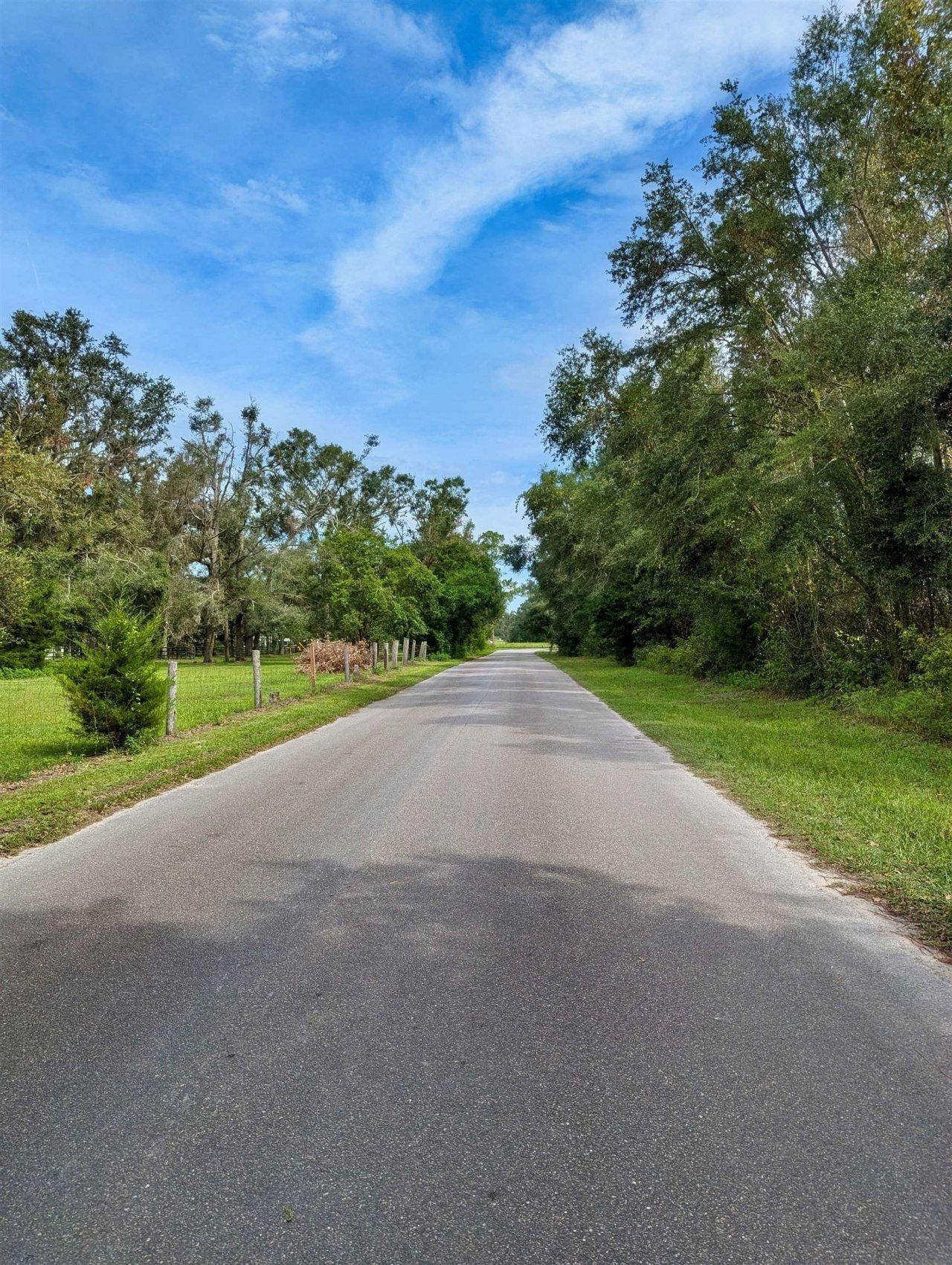 3 Tbd, Mayo, FL 32066 Photo