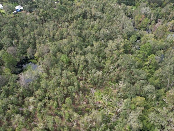 4 TBD, Mayo, FL 32066