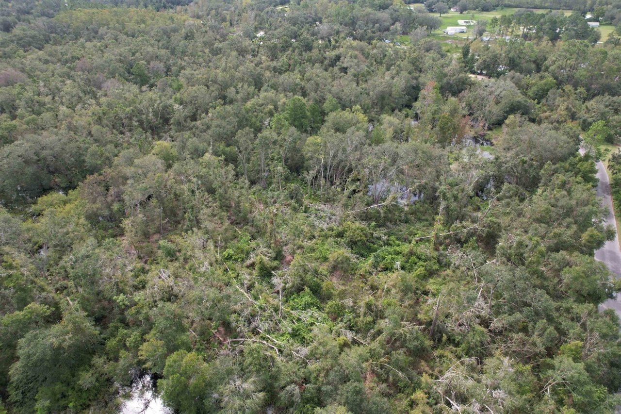 1 Tbd, Mayo, FL 32066 Photo