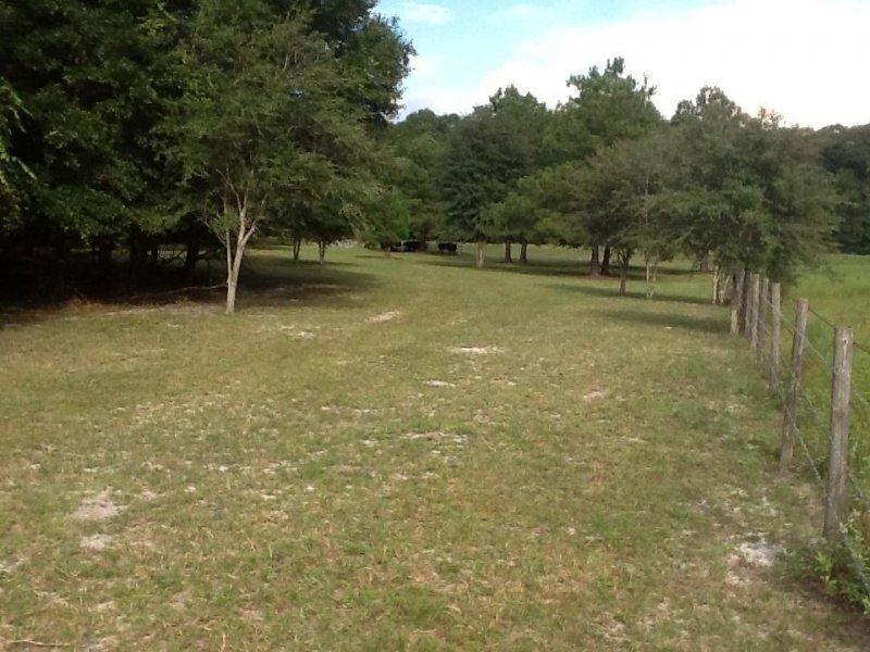 0 NE Dusty Miller Avenue, Madison, FL 32350 Photo