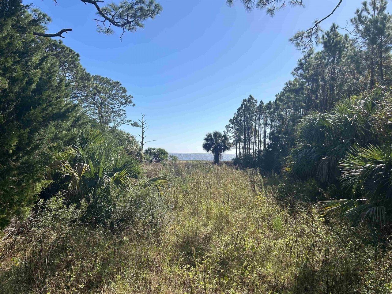 2191 E 98 Highway, Lanark, FL 32323 Photo