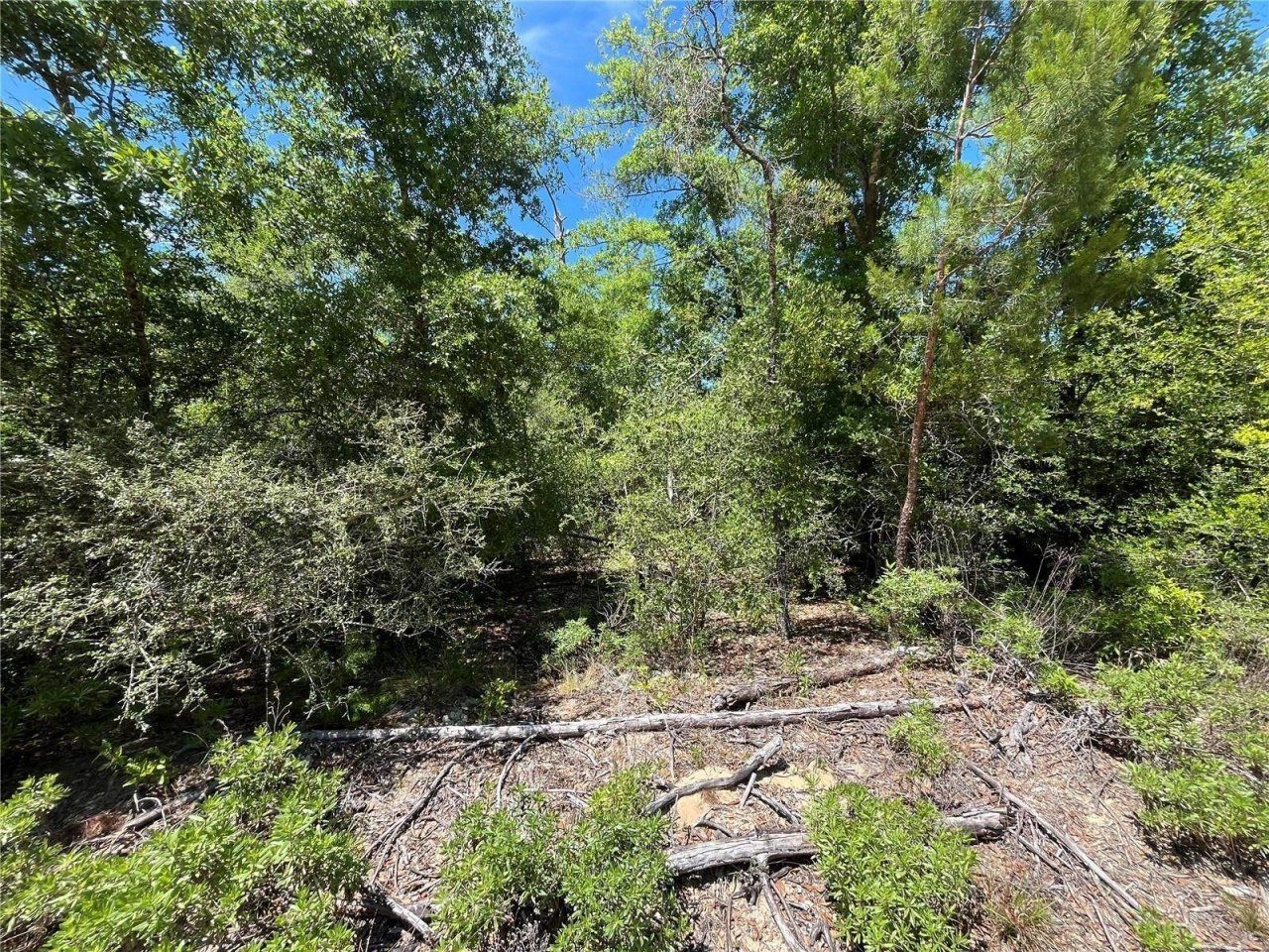 Hocking Street, Alford, FL 32420 Photo