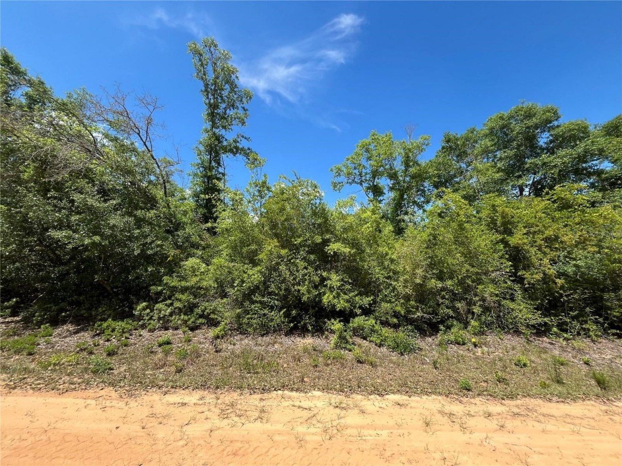 Hocking Street, Alford, FL 32420 Photo