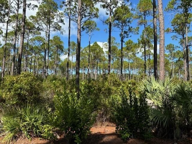 102 Fishhook Way, Saint Teresa, FL 32358 Photo