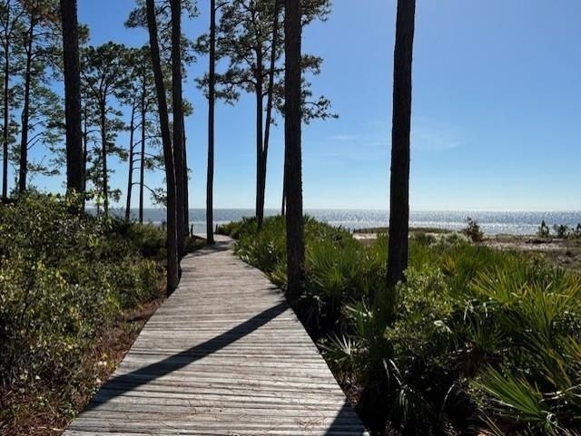 102 Fishhook Way, Saint Teresa, FL 32358 Photo