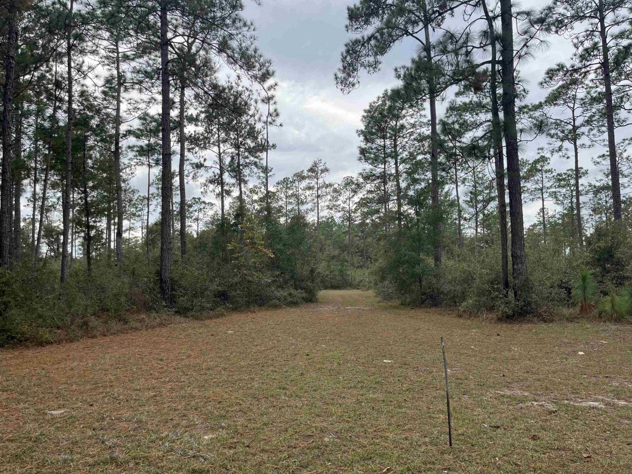 Xx Old Shell Point Road, Crawfordville, FL 32327 Photo