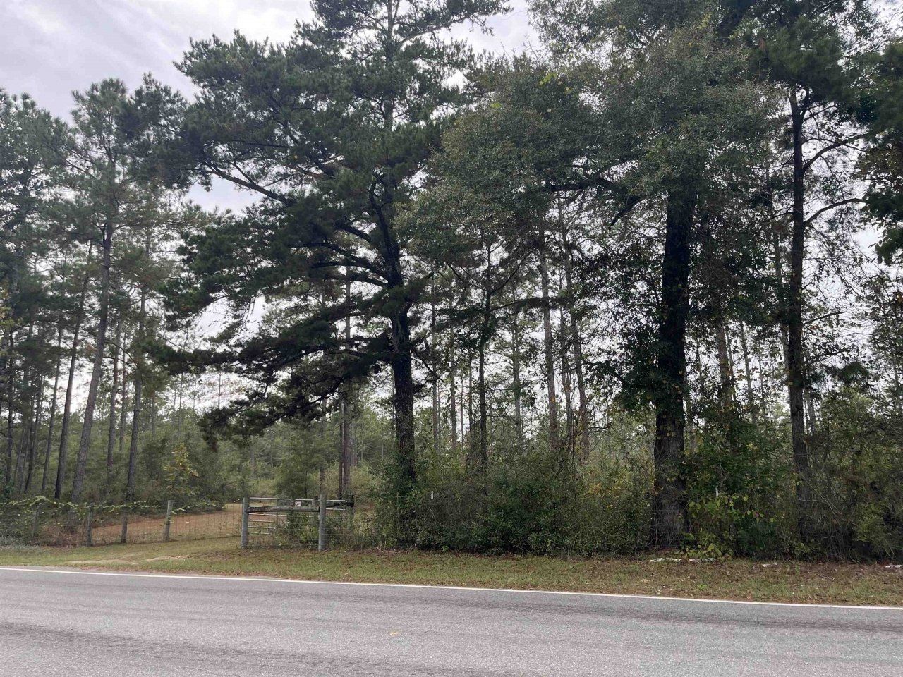 Xx Old Shell Point Road, Crawfordville, FL 32327 Photo