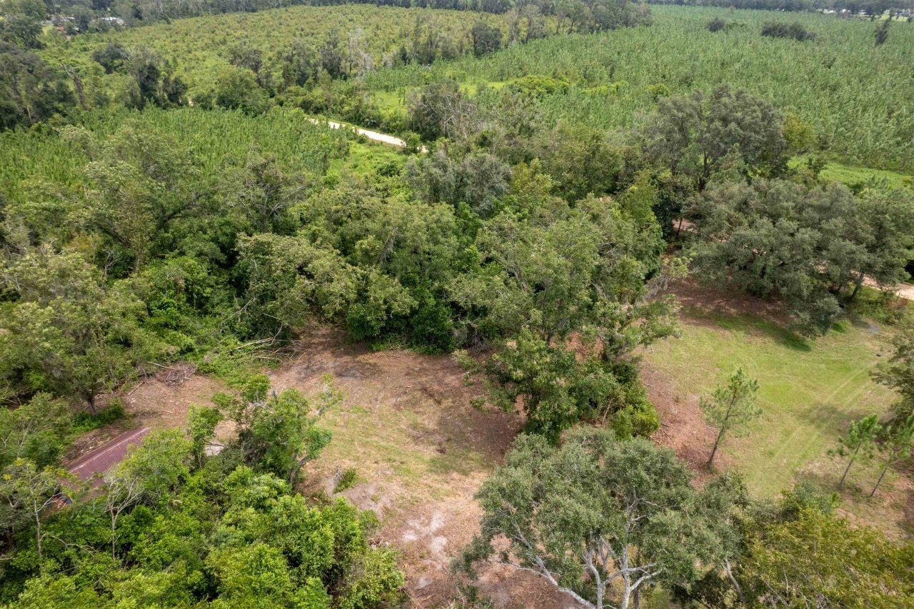 Xxx NE Geranium Street, Madison, FL 32340 Photo