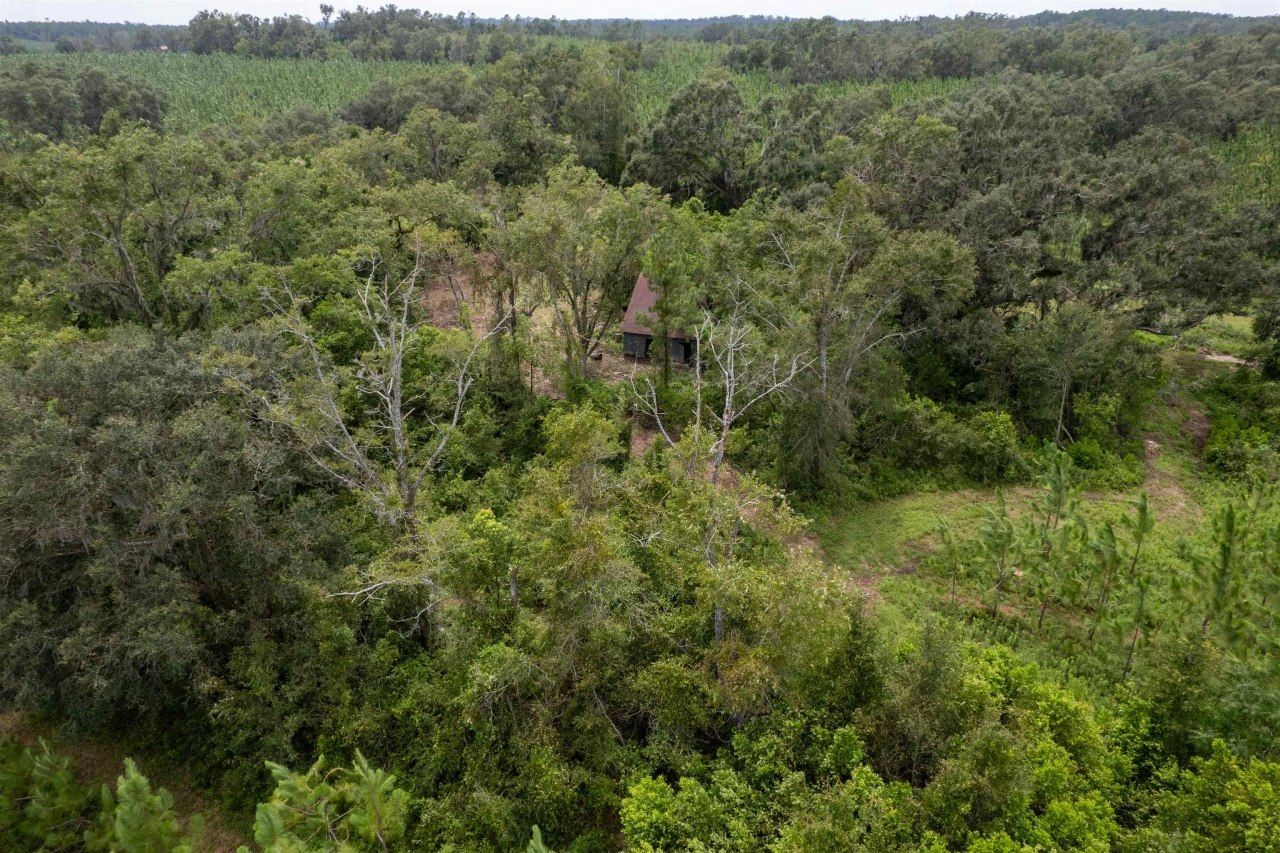 Xxx NE Geranium Street, Madison, FL 32340 Photo