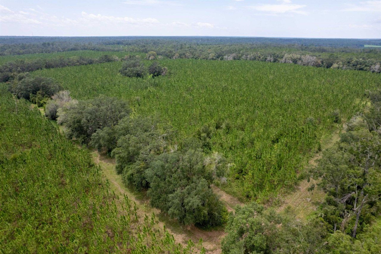 Xxx NE Geranium Street, Madison, FL 32340 Photo