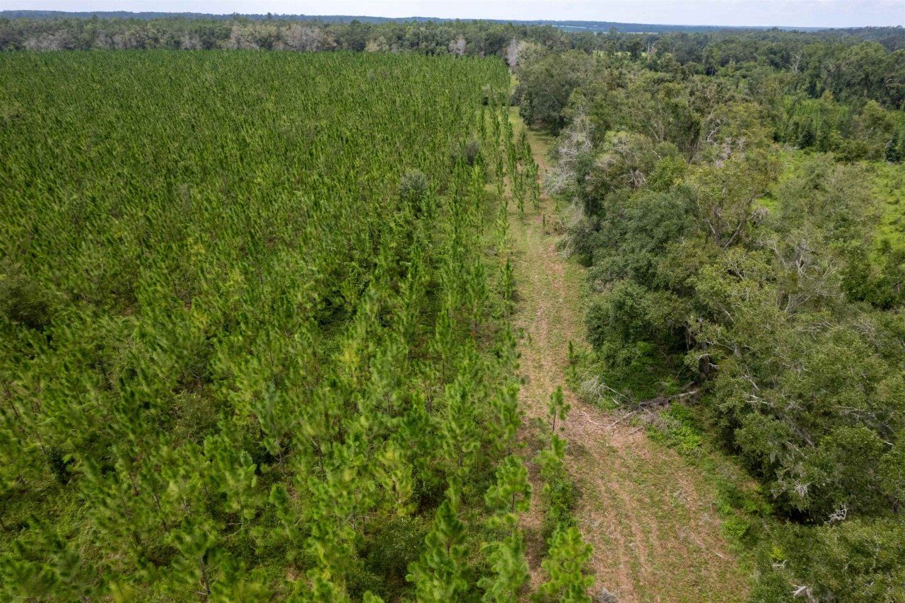 Xxx NE Geranium Street, Madison, FL 32340 Photo