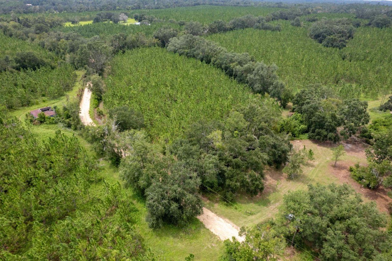 Xxx NE Geranium Street, Madison, FL 32340 Photo