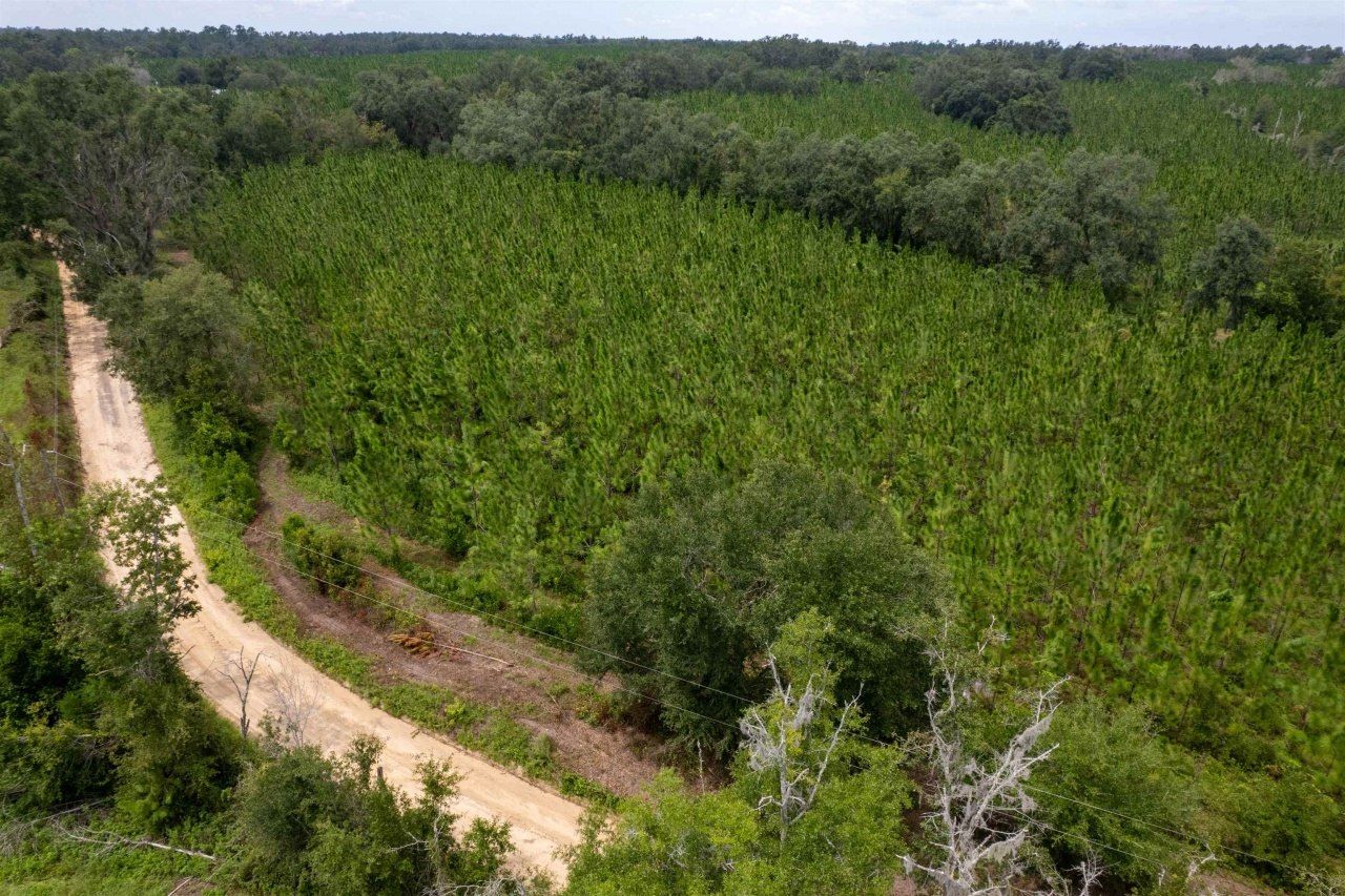 Xxx NE Geranium Street, Madison, FL 32340 Photo