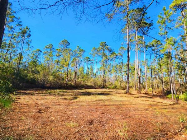 Lot 116 SW Pier Road, Greenville, FL 32331