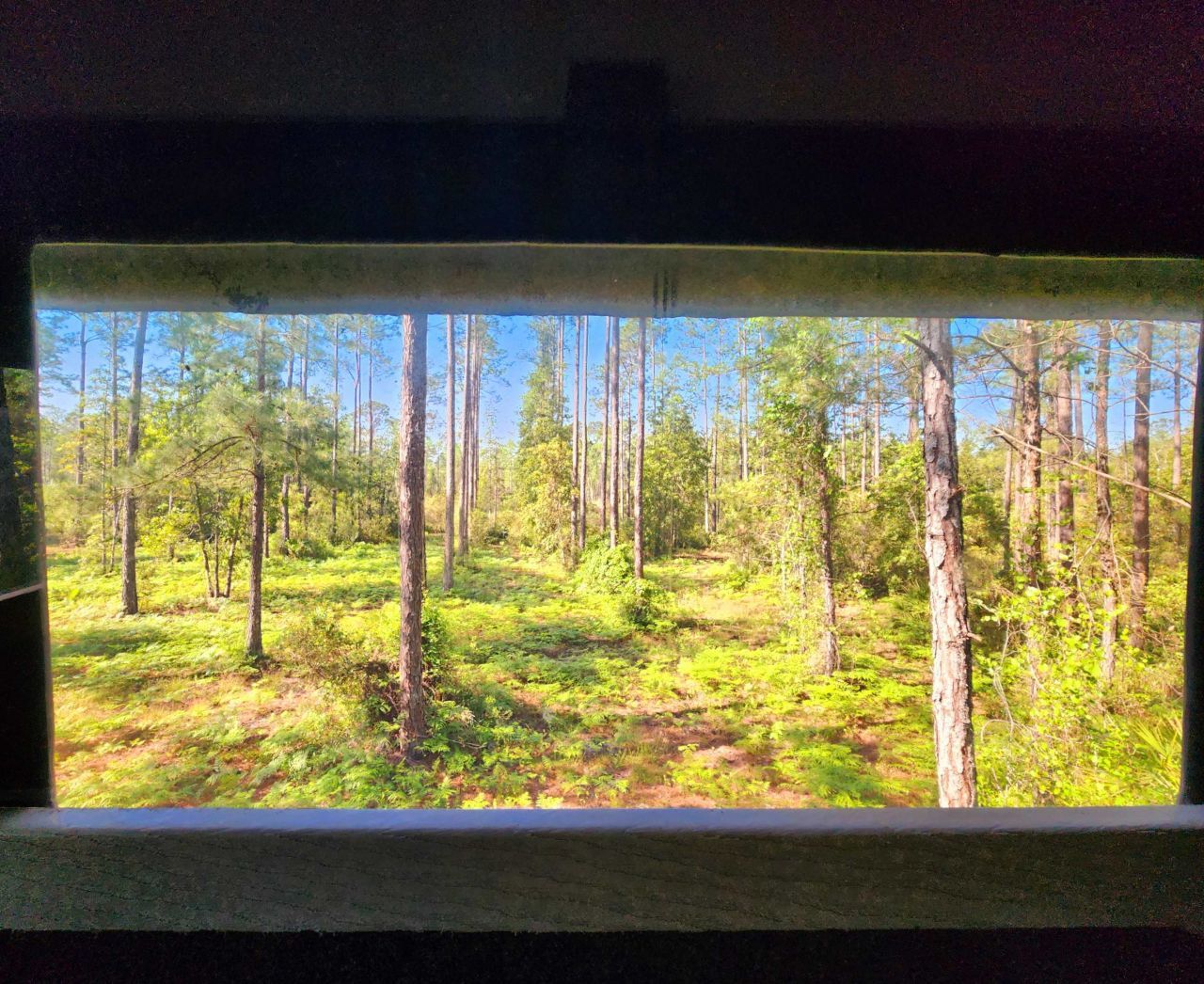 Lot 116 SW Pier Road, Greenville, FL 32331 Photo