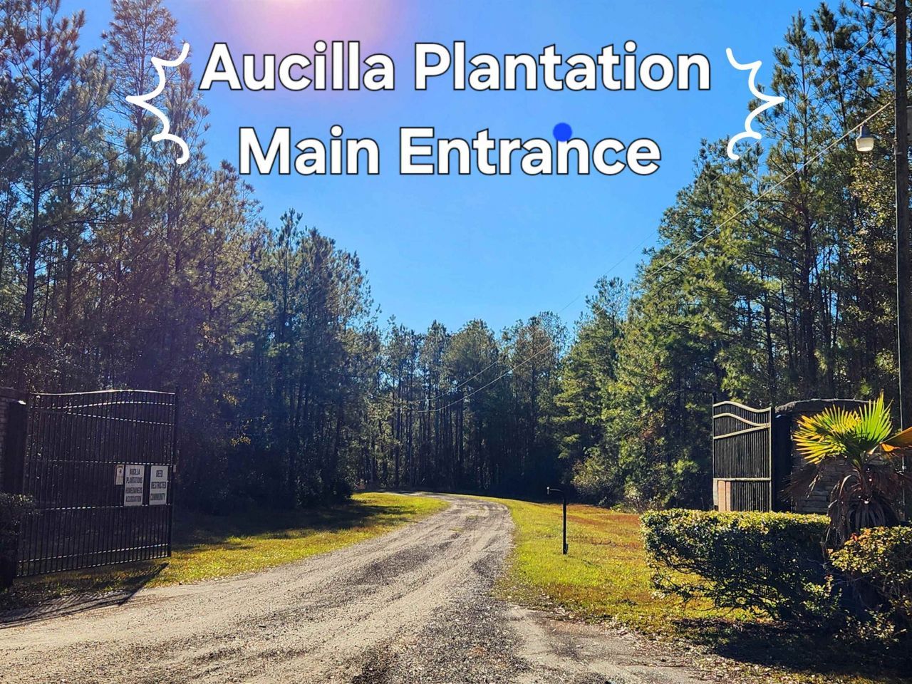 Lot 116 SW Pier Road, Greenville, FL 32331 Photo