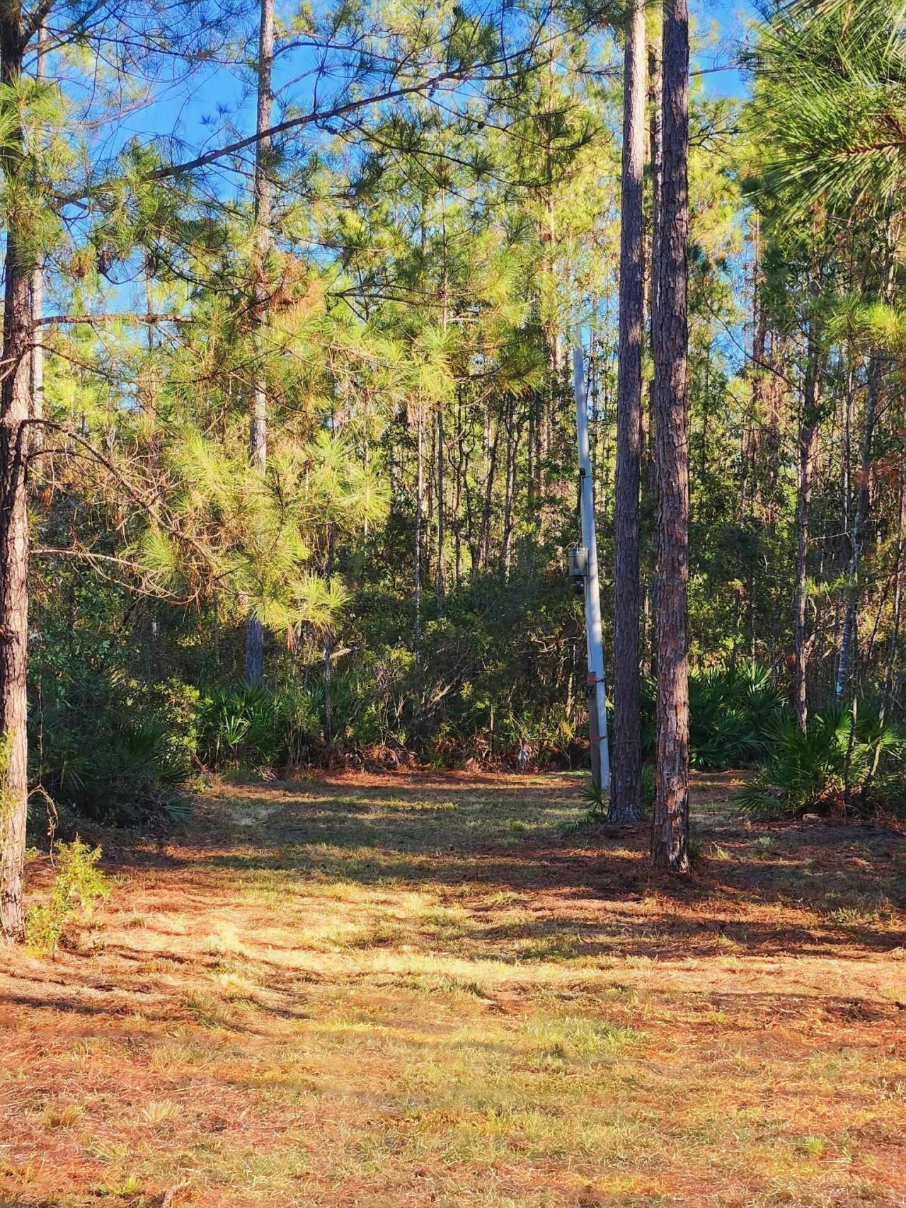 Lot 116 SW Pier Road, Greenville, FL 32331 Photo