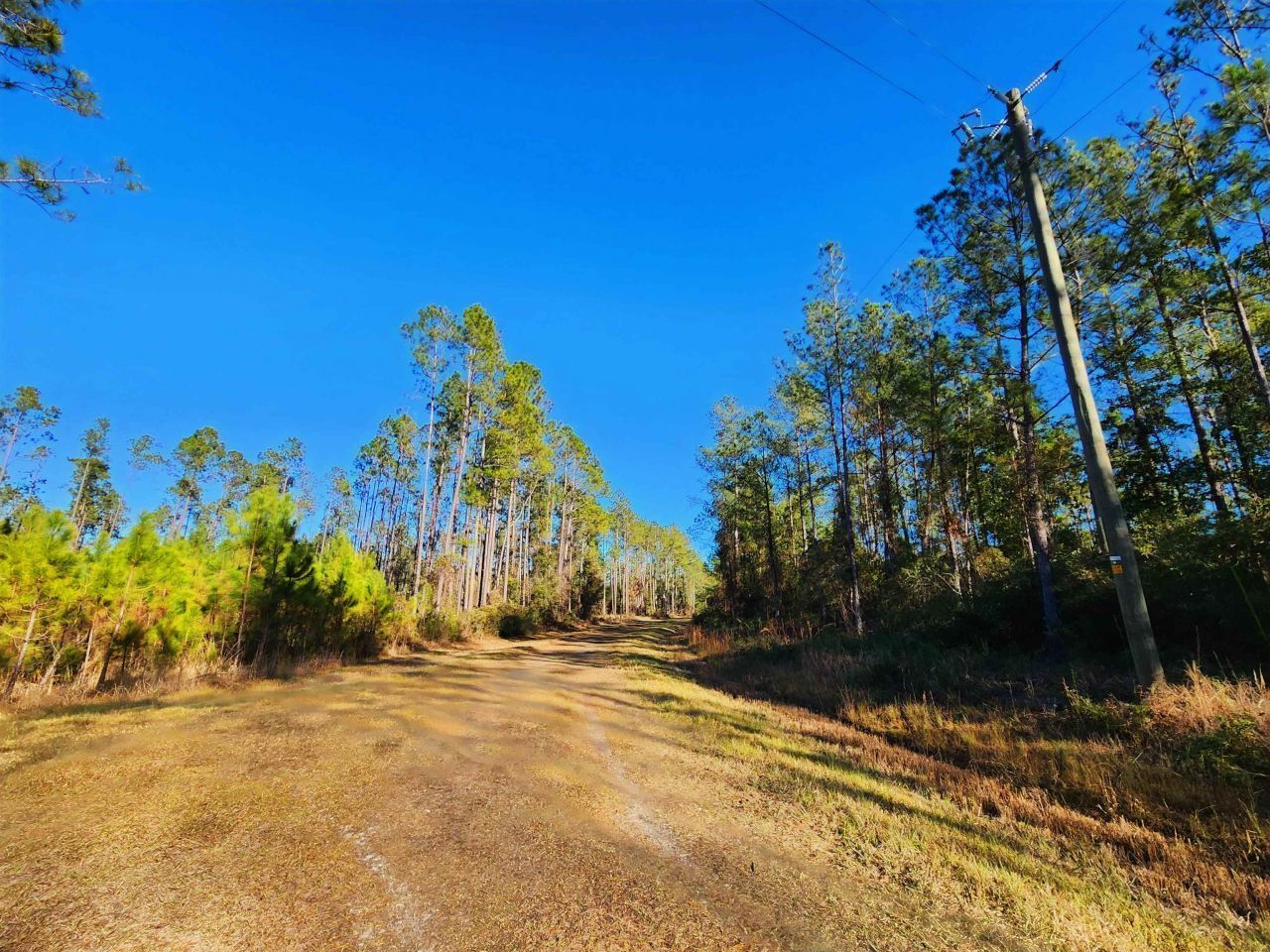 Lot 116 SW Pier Road, Greenville, FL 32331 Photo
