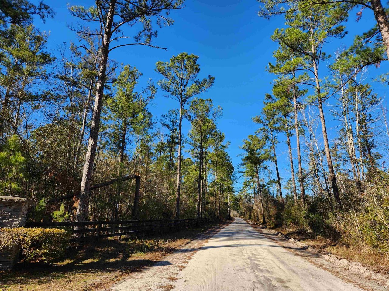 Lot 116 SW Pier Road, Greenville, FL 32331 Photo