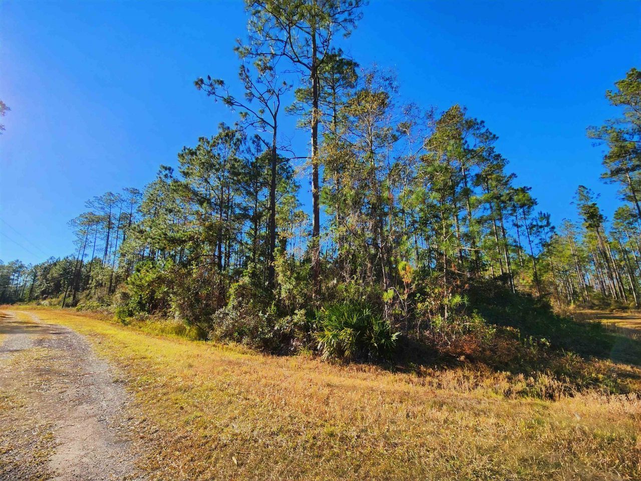 Lot 116 SW Pier Road, Greenville, FL 32331 Photo