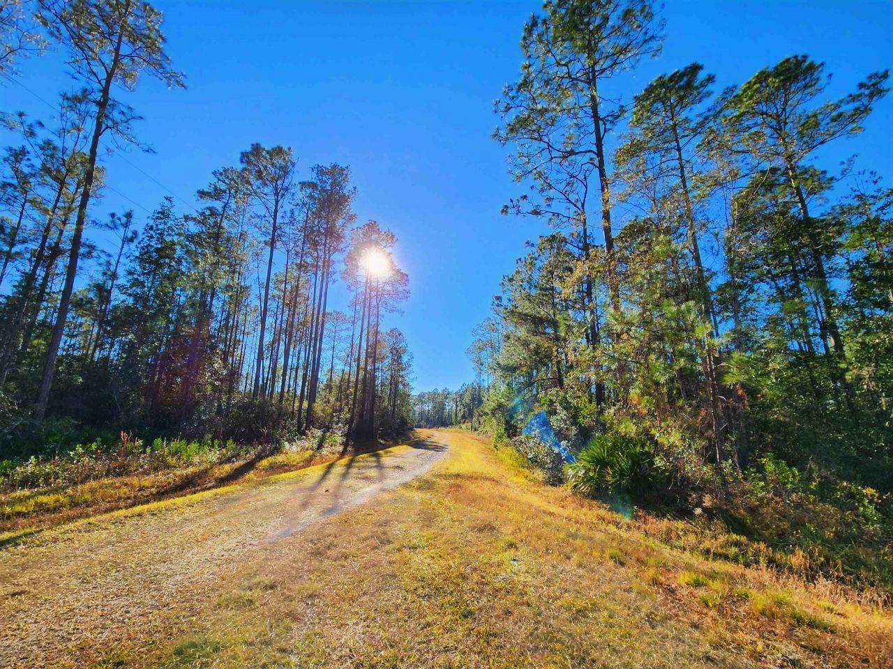 Lot 116 SW Pier Road, Greenville, FL 32331 Photo