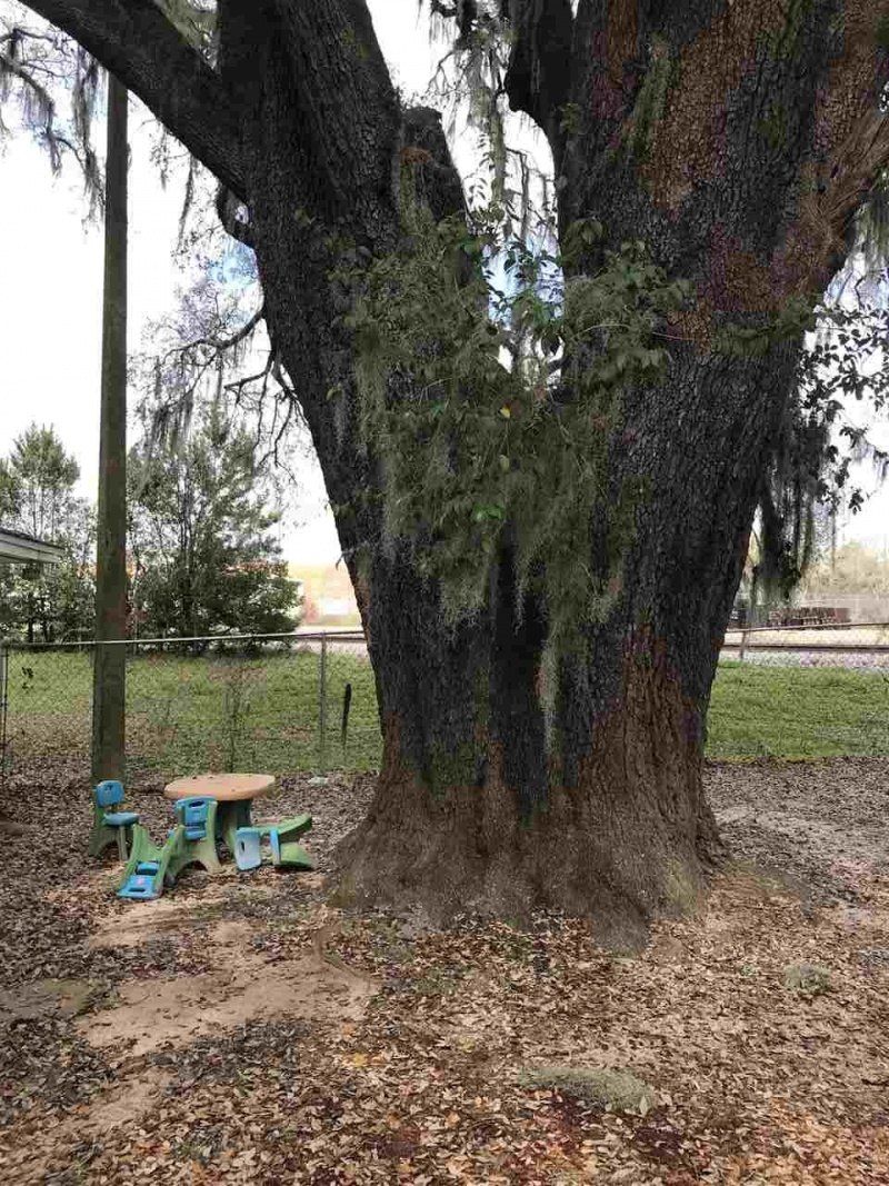 1222 Live Oak St, Quincy, FL 32351 Photo