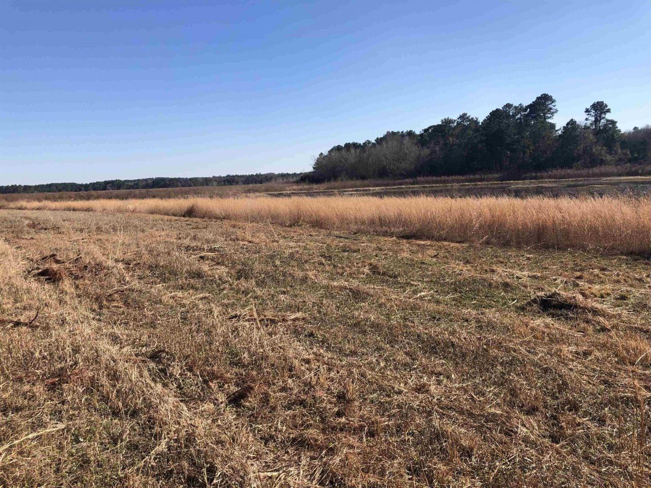 4807 Red & Sams, Tallahassee, FL 32303 Photo