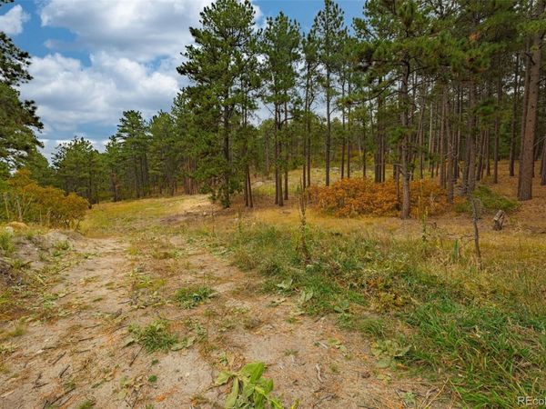 14420 S Perry Park Road, Larkspur, CO 80118